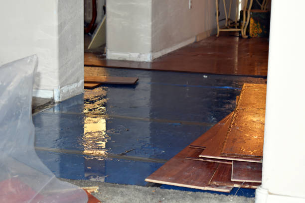 Professional Basement Flood Cleanup technician working in Des Moines, IA